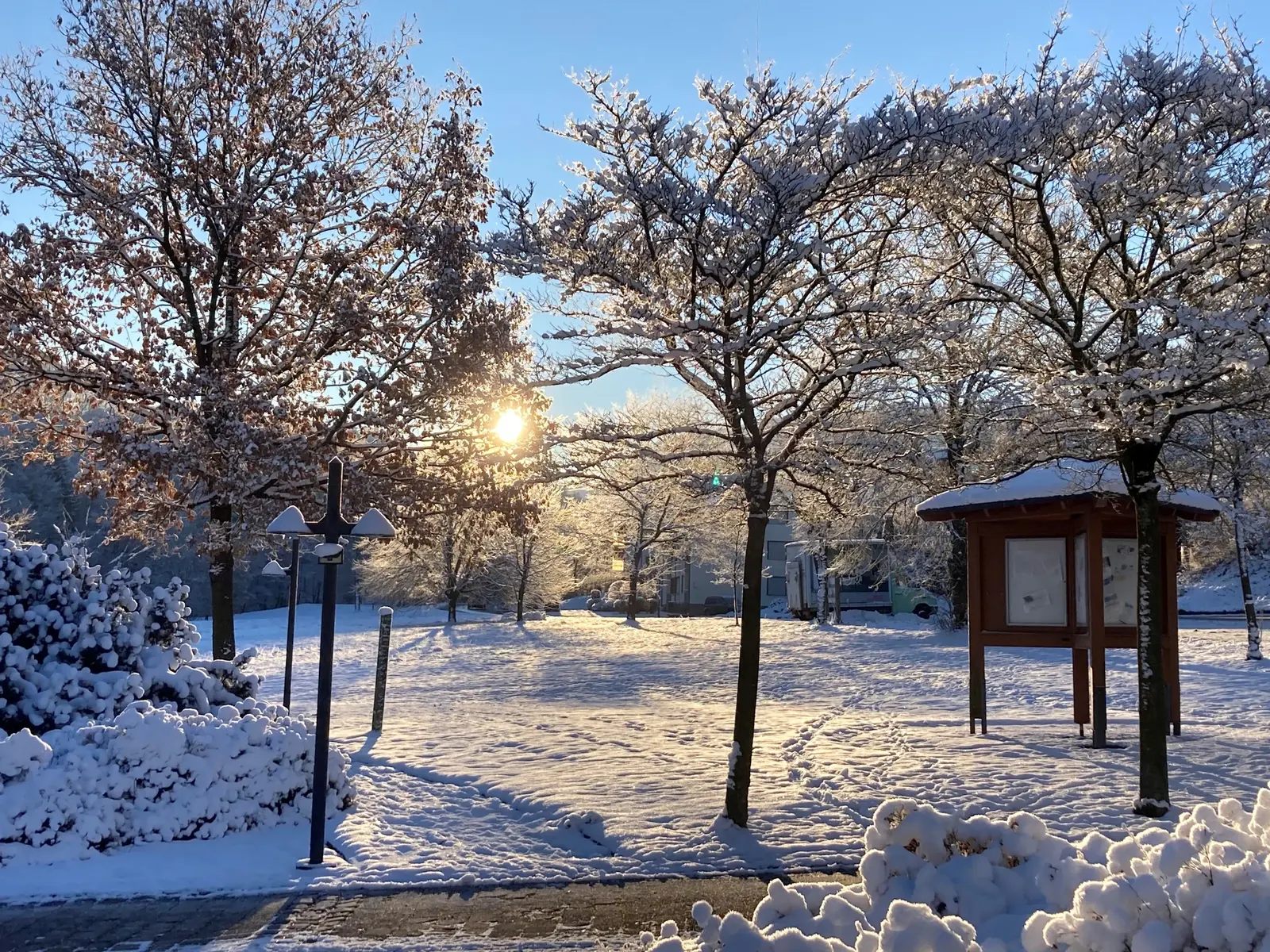 Verschneiter Park mit Bäumen und Holzunterstand bei tiefstehender Sonne in Willingen